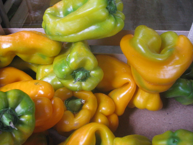 Sweet Peppers - copyrights incl. electronic by E. M. Giacon Castleman