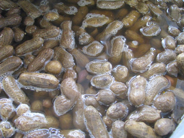Boiled "p-nuts" as sold at the Abbott Farms store in Cowpens, North Carolina