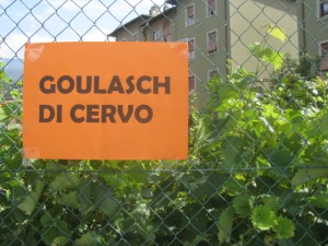 stag goulash advertised in Rovereto. Northern Italy