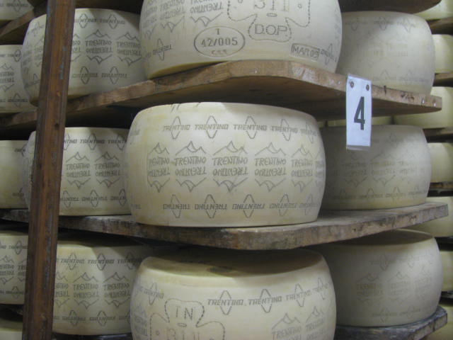 Trentin Grana wheels aging at the Caseificio di Coredo, Val di Non