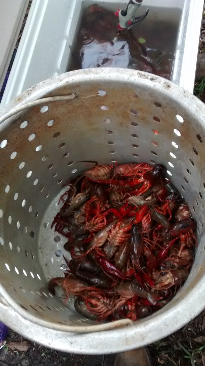 IMG_20160319_171712978