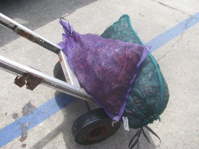 Sacs of crawfish at Bozo in Pascagoula - Copyrights incl. electronic Culinary Roots 2016