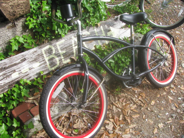 Biking to the Beach - Willoughby Spit, Norfolk - All rights incl. electr. Culinary Roots 2016