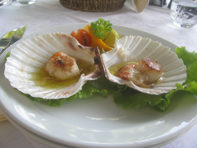 Grilled " Capesante" (scallops) - All rights incl. electr. Culinary Roots and Recipes 2016