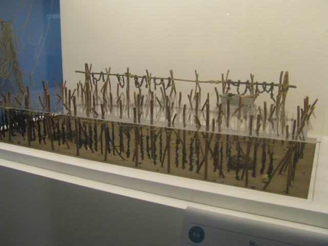 How to cultivate mussels - Model - Maritime Museum Trieste - All rights incl.electr. Culinary Roots and Recipes 2016