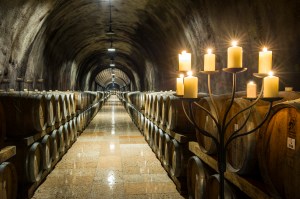 Rocca Sveva barrique wine cellar in Soave